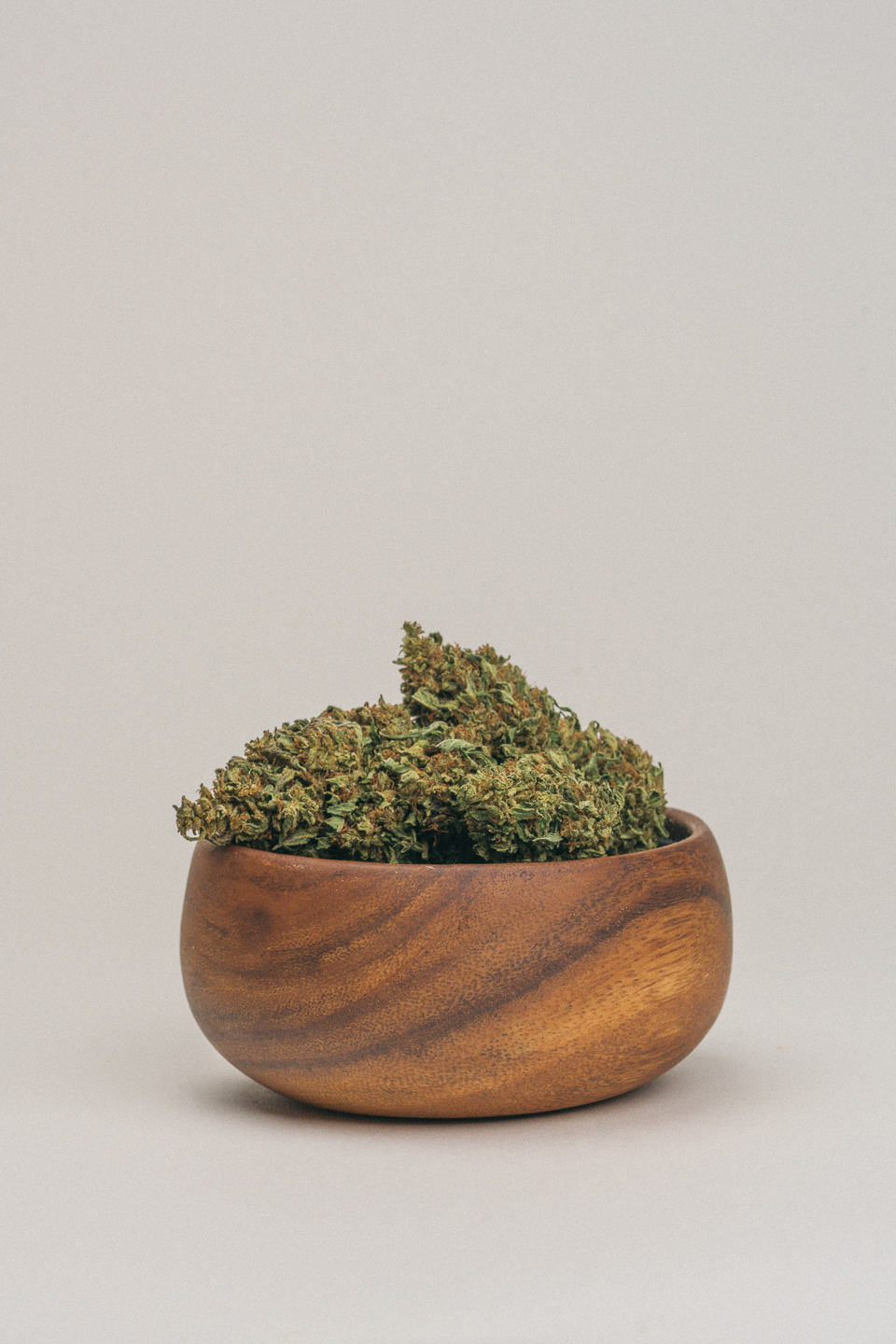 Electric Lettuce East Fork Cultivars