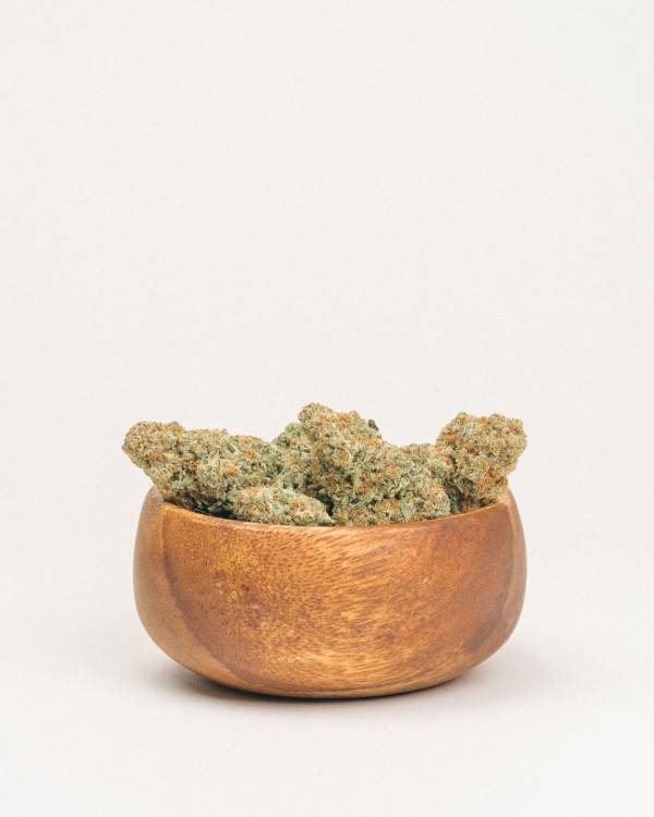 Electric Lettuce Active