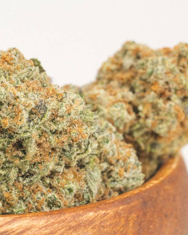 Electric Lettuce Active